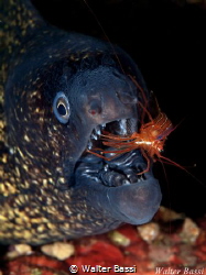cleaning by Walter Bassi 
